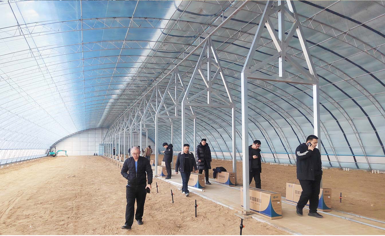 大路鎮(zhèn)苗家灘社區(qū)項目-智能溫室、日光溫室建設(shè)項目_09.jpg